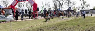 6° Cross Country Cimadolmo